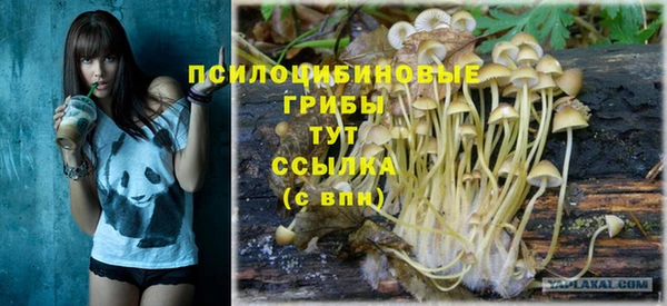 прущий лед Алексин